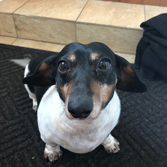 Meet your Posher, Catherine - Picture 4 of 4